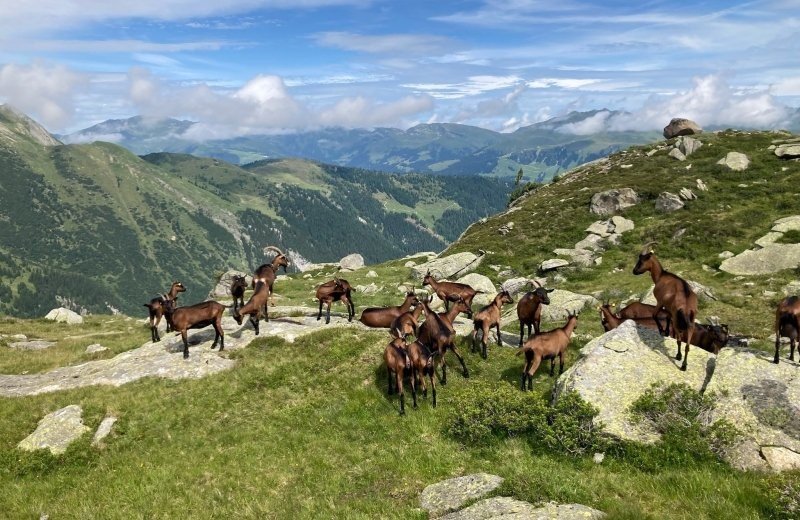 Nationalpark Hohe Tauern