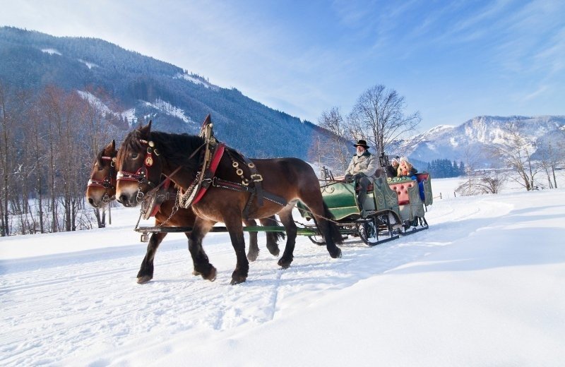 Pferdeschlittenfahrten